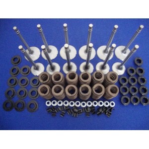 VALVES AND BEEHIVE SPRING KIT SUIT CHI ALLOY HEAD
